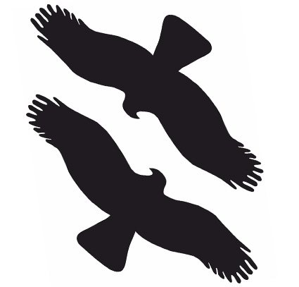 (afbeelding voor) Vogel 1