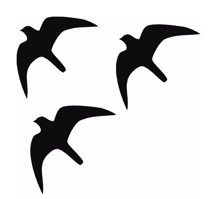 (afbeelding voor) Vogel 2