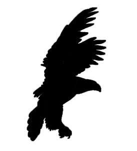 (afbeelding voor) Vogel 5