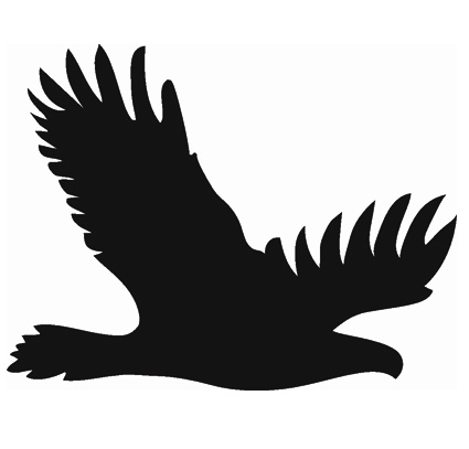 (afbeelding voor) Vogel 6