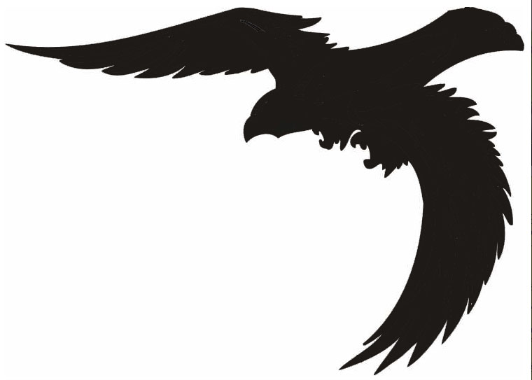 (afbeelding voor) Vogel 7