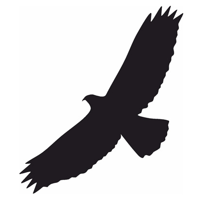 (afbeelding voor) Vogel 12