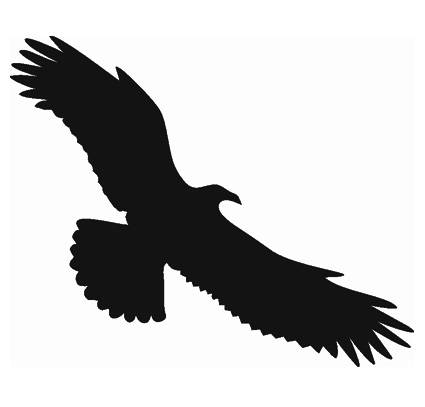 (afbeelding voor) Vogel 16