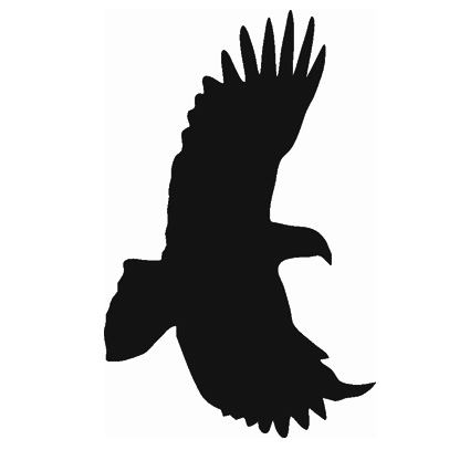 (afbeelding voor) Vogel 17