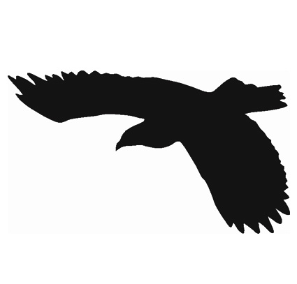 (afbeelding voor) Vogel 18